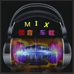 领音车载 《让我做你的眼睛2018抖音最火无损中文电音嗨曲》DJ阿顺Mix
