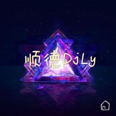 顺德DjLy-全中文Electro音乐打造听着情歌流眼泪抒情慢摇串烧