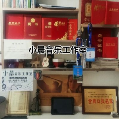 南昌DJ小晨-抖音最火歌受了伤也无人去诉说爆红网络伤情连版