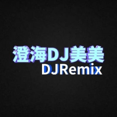 澄海DJ美美-Remix2022百听不厌精制(没有你的日子我真的好孤单)伤感情歌串烧