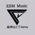 DJ小丁remix精心打造【斑马斑马DJ】中文edm混搭串烧