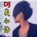 潮音坊舞女热播celebrate 2014（DJ炎小伟mix）夜店mash up
