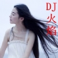 网络情歌 qq恋 —DJ火焰 remix